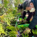 이기홍농장 이미지