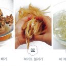 골뱅이 Daum카페