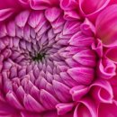 시원애감자탕 동호방촌직영점 이미지