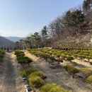 선택목장 이미지