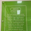 바우네 | 지젤엠 바우네 나주곰탕 방문 후기
