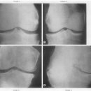 경희스카이한의원 이미지