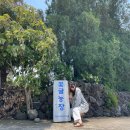 광은농장 | [제주도 남부] 제주 이색 데이트, 꽃귤농장에서 카라향 따기 체험!