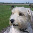 스포팅(SPORTING) 이미지