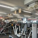 메이저 짐 이미지