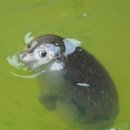 휴먼pc방 이미지