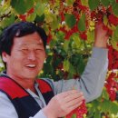 금무리농장 이미지