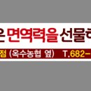 정관장능포점