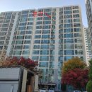 연세민트치과의원 이미지