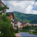 동강시스타 이미지