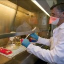 대화약품(주) 이미지