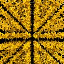 김해봉하마을관광안내소 | 김해 진영 봉하마을 생태문화공원 예약 부엉이바위 경남 갈만한곳