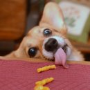 연두동물병원 이미지