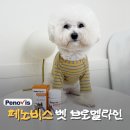 하나벳 | 페노비스 벳 브로멜라인, 강아지 기관지영양제 급여 후기!