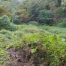 구산면570 이미지