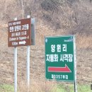 연천양원리고인돌 이미지