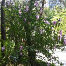 아동미술 이미지