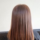 배방미용실 어울리다 유리실장님 톤업 전체염색 후기