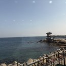 대선회집 이미지