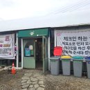 용지농장 | 용인 딸기체험 동물농장 실내 헤븐온어스 아이랑