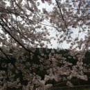 광양읍 서천체육공원 이미지