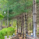 엄사근린공원 이미지