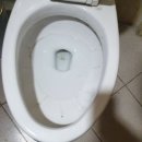 화장실 악취 걱정 끝! 강서구 상가 화장실청소 제일환경과 함께한 청소 이야기