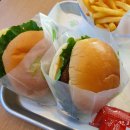 프랭크버거 동해쇄운점 이미지