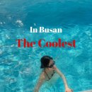 THECOOLEST HOTEL 이미지