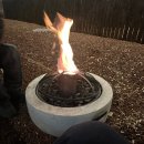 스테이 길리 풀빌라 글램핑 | 애견동반 숙소] 강원도 홍천 풀스테이 독채 풀빌라 &#39;스테이펫&#39;&amp;독채 글램핑 &#39;스테이휴&#39; 후기 (시바견有)