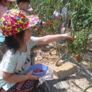 가은농장 이미지