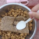 캐니스팜 이미지