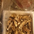 밀양댐오토캠핑장 이미지