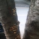 천변공원 화장실 이미지