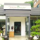 소나무향기 이미지