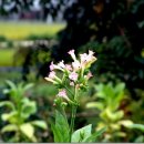 창촌약국 이미지