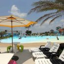 메가웨이브(MEGAWAVE) 이미지