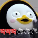 교원더퍼스트캠퍼스