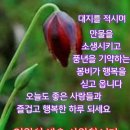 4월21일(화)(끝말잇기방)에 자건방 회원님들을 초대합니다 이미지
