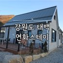 제일오투마트 | 오투리조트 근처 숙소 추천｜강원도 태백 연화스테이 단체펜션 후기