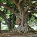 큰몰민박 이미지