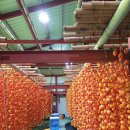 농암농장 이미지