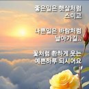 #[아침을여는지혜]-2025년 6월 4일-주요뉴스 이미지