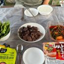 안다미로 스테이 이미지