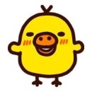 요치 이미지