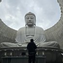 두대로 | 삿포로여행 두대불전 모아이상 스톤헨지 홋카이도가볼만한곳