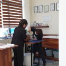 파주고양이 미용실 이미지