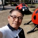 서울온천 이미지