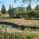 순천만국가정원 이미지