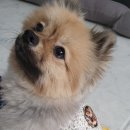 모띠앙 이미지